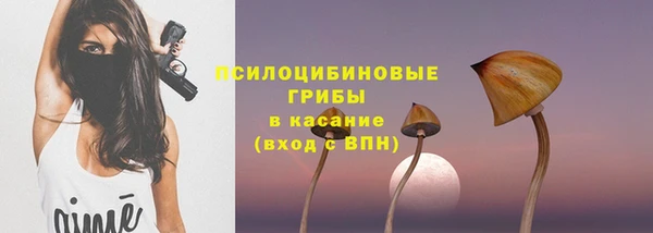 соль ск Верхний Тагил