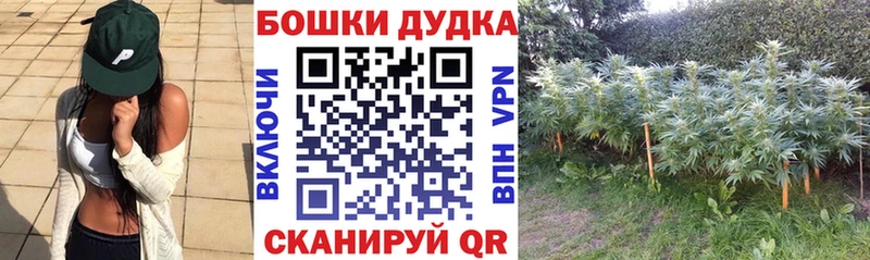 цены Истра Бошки марихуана индика